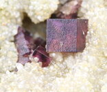 Fluorit - Kožlí u Ledče nad Sázavou, velikost krystalu: 3 mm. © Foto T. Kadlec
