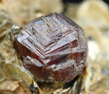 Almandin-spessartin - Golčův Jeníkov, velikost krystalu: 11 mm. © Foto T. Kadlec