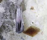 Skoryl-dravit - Přibyslavice, velikost krystalu: 8 mm. © Foto T. Kadlec