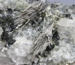Allanit-Ce - Pohled, šířka záběru: 24 mm. © Foto T. Kadlec