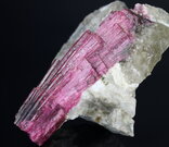 Liddicoatit - Madagaskar, délka krystalu: 7,5 cm. © Foto T. Kadlec