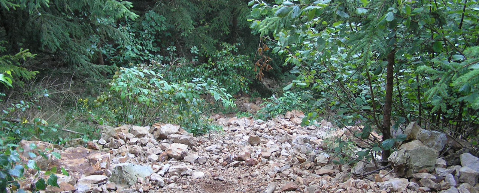 P8260001