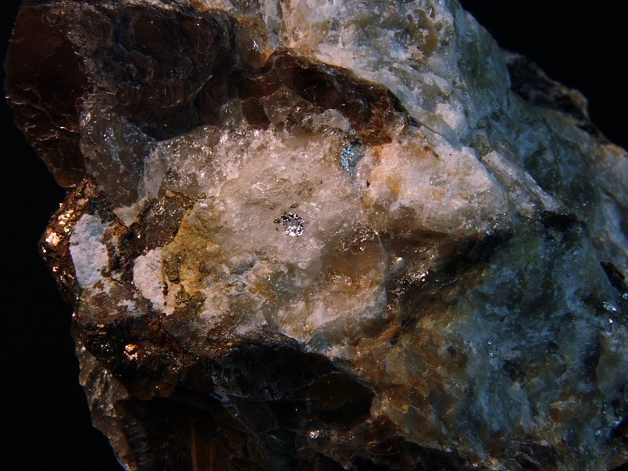 IMG 4705