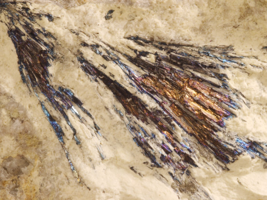 Antimonová mineralizace ve Vlastějovicích