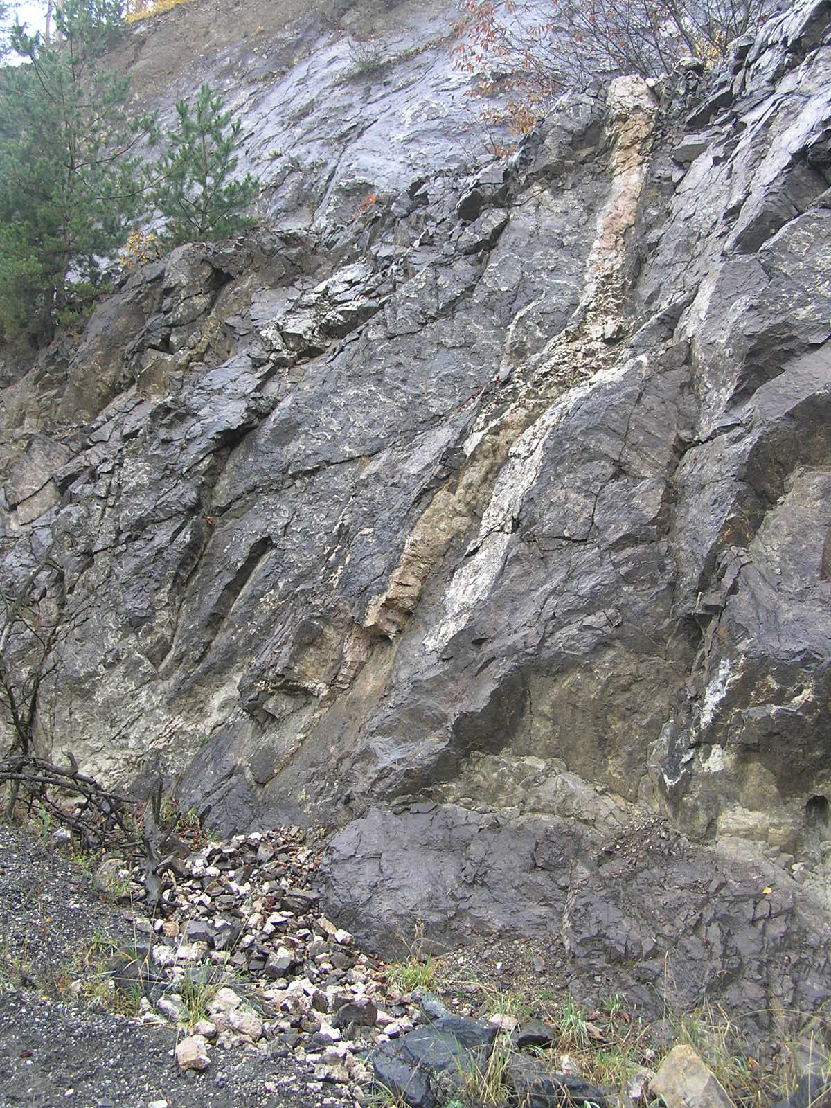 Skalní stěna Nosaté skály s pseudokrasovými dutinami