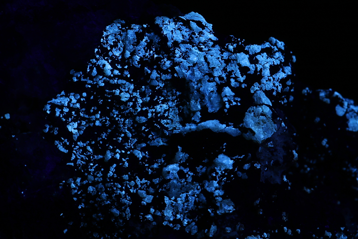 IMG 7677