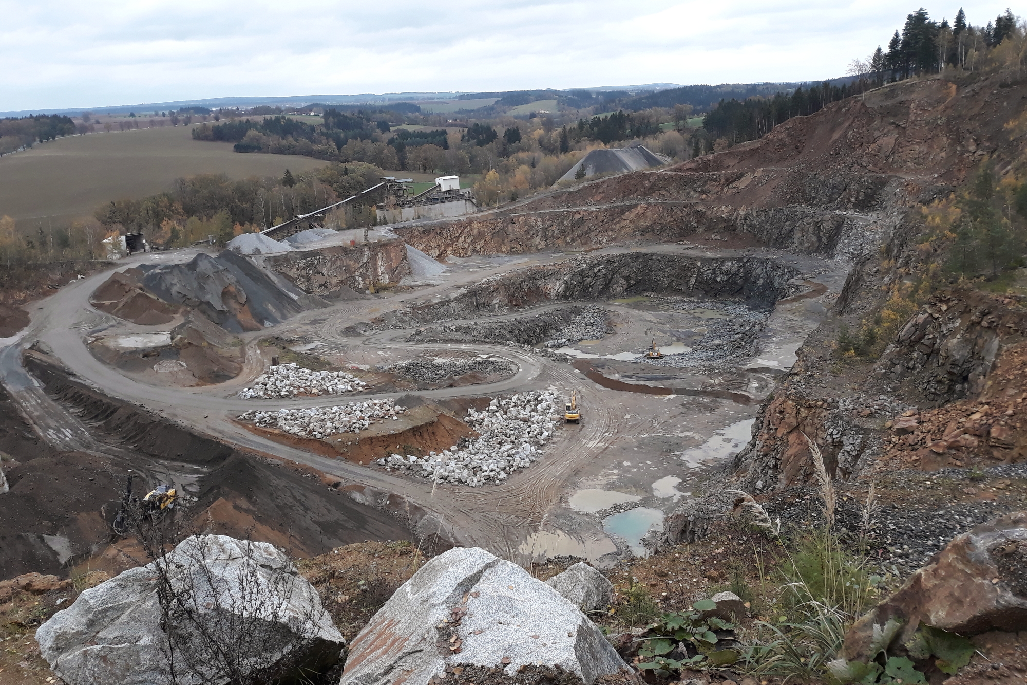 Nález zeolitů a&nbsp;doprovodné mineralizace z&nbsp;žil alpského typu a&nbsp;hydrotermálně alterovaných pegmatitů v&nbsp;kamenolomu Pohled u&nbsp;Havlíčkova Brodu