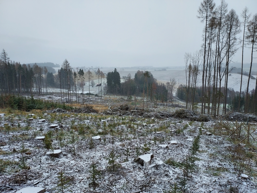 Skalní stěna Nosaté skály s pseudokrasovými dutinami