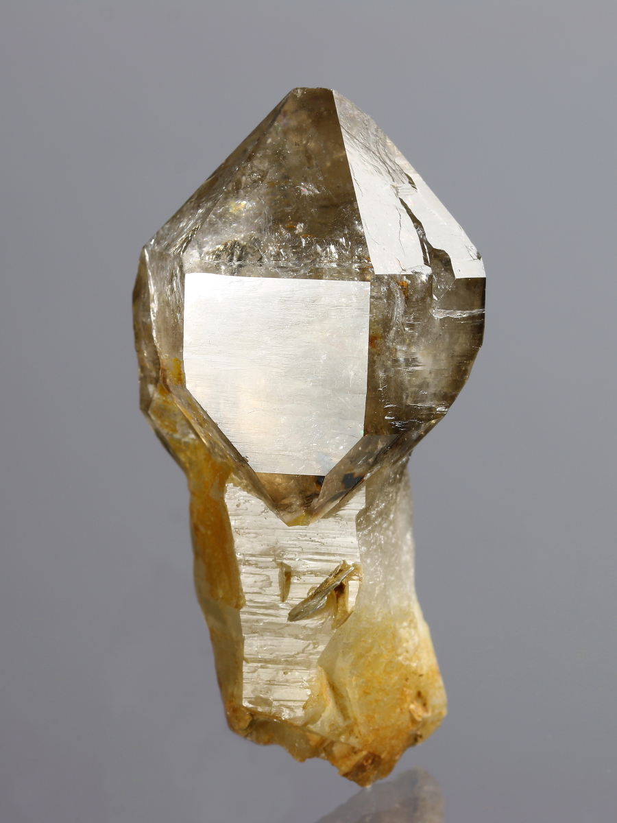 06