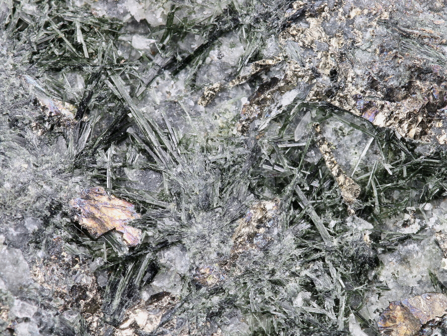 09