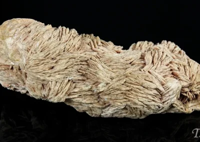 Baryt, pyrit - Stříbrná Skalice 2010, rozměry vzorku: 17x7x6 cm. © Foto T. Kadlec