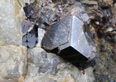 Andradit - Vlastějovice, velikost krystalu: 2,5 cm. © Foto T. Kadlec