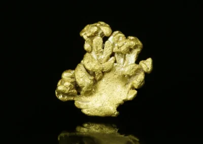 Zlato - Podmoky, rozměry vzorku: 5 mm. © Foto T. Kadlec