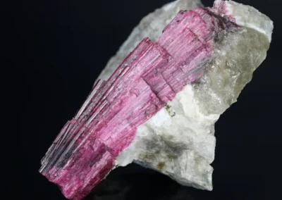 Liddicoatit - Madagaskar, délka krystalu: 7,5 cm. © Foto T. Kadlec
