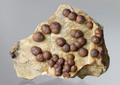 Hematit - Kožlí, rozměry vzorku: 15 x 10 cm. © Foto T. Kadlec