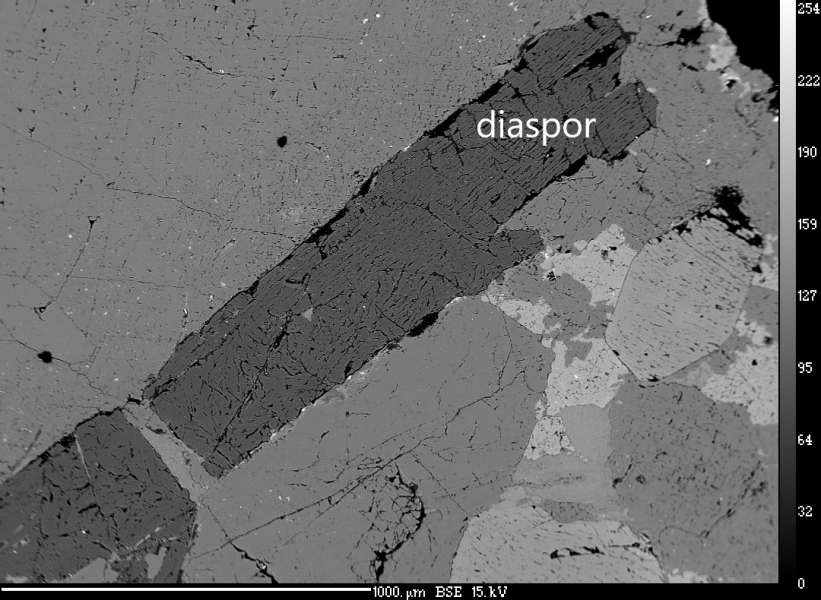Diaspor